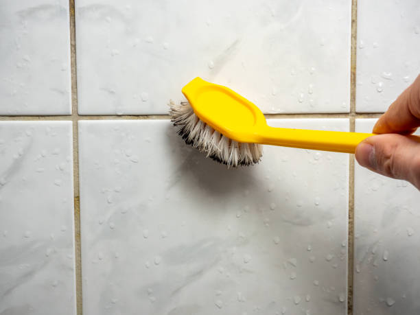 Trusted Dubois, PA Mold Removal Experts