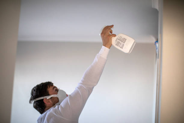 Best Toxic Mold Removal  in Dubois, PA