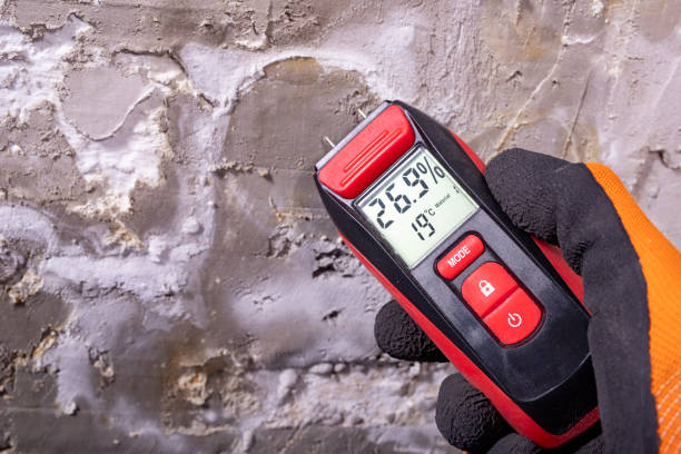 Best Toxic Mold Removal  in Dubois, PA
