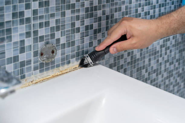 Best Best Mold Removal Companies  in Dubois, PA